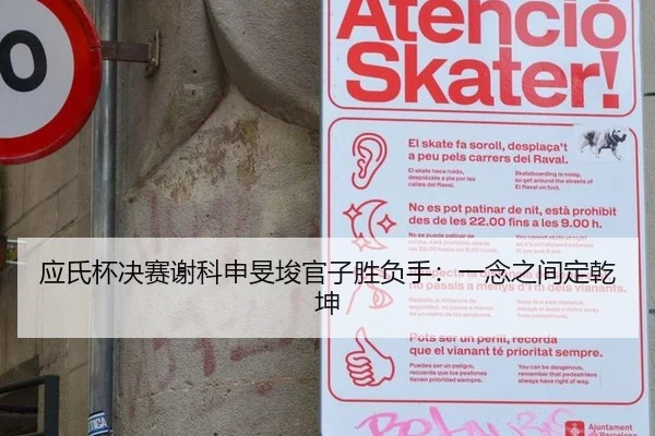 应氏杯决赛谢科申旻埈官子胜负手：一念之间定乾坤